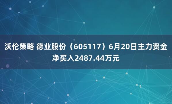 沃伦策略 德业股份（605117）6月20日主力资金净买入2487.44万元