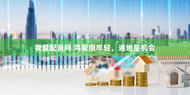 我爱配资网 鸿蒙很年轻，遍地是机会