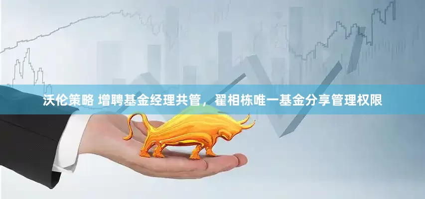 沃伦策略 增聘基金经理共管，翟相栋唯一基金分享管理权限